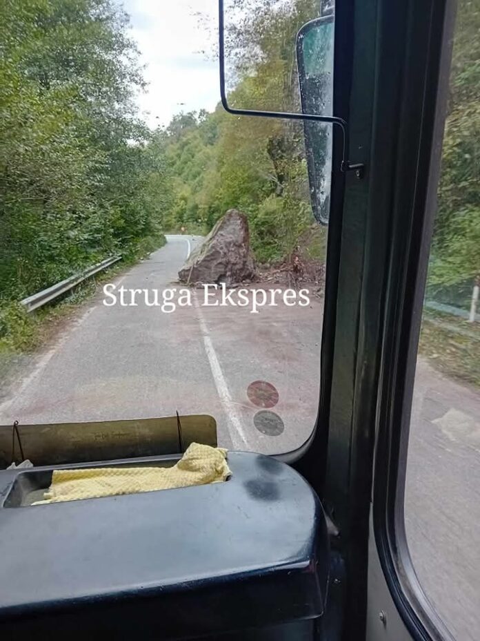 FB_IMG_1762414175514